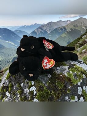 Two Beanie babies